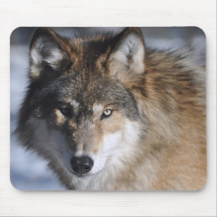 Grey Wolf Mouse Mat