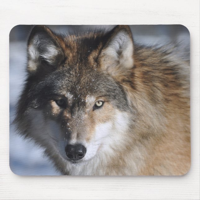 Grey Wolf Mouse Mat (Front)