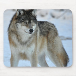 Grey Wolf Mouse Mat