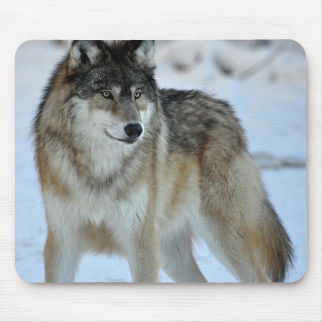 Grey Wolf Mouse Mat (Front)