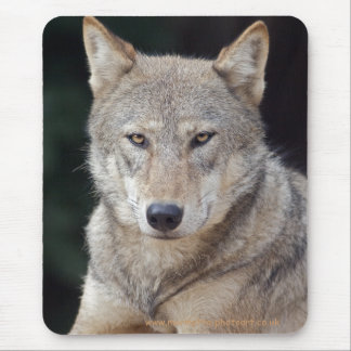 Grey Wolf Mousemat