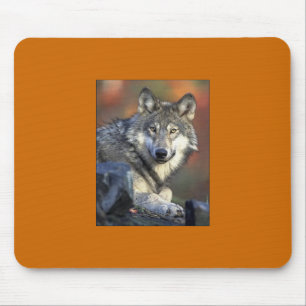 Grey Wolf Mousepad
