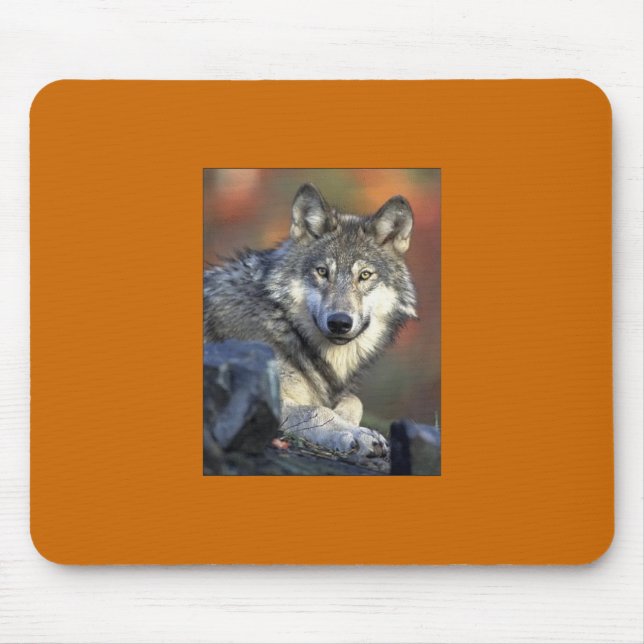 Grey Wolf Mousepad (Front)