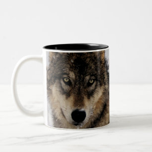 Grey Wolf or Timber Wolf Laying in the Snow Two-Tone Coffee Mug