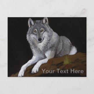 Grey Wolf Postcard