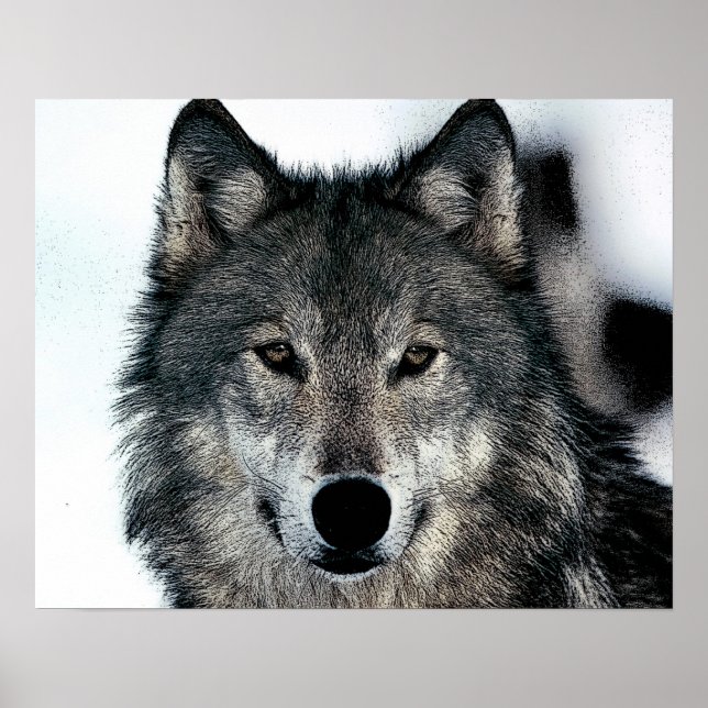 Grey Wolf Poster (Front)