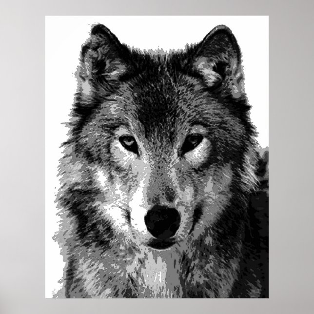 Grey Wolf Poster Print (Front)