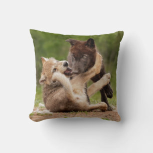 Grey Wolf Pups Wrestling Cushion