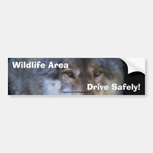 Grey Wolf Road Safety Bumper Sticker