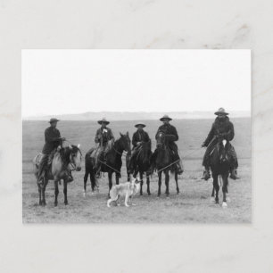 Grey Wolf Roundup, 1887 Postcard