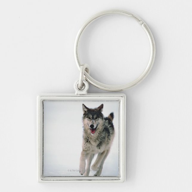 Grey wolf running key ring (Front)
