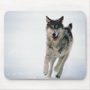 Grey wolf running mouse mat