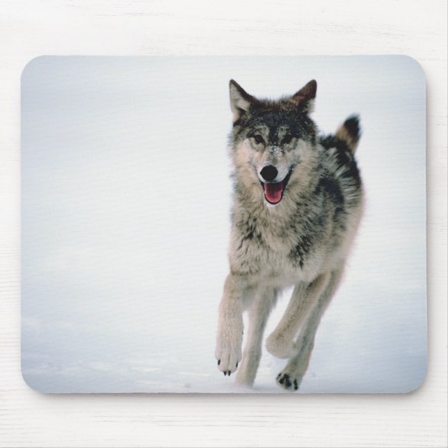 Grey wolf running mouse mat (Front)
