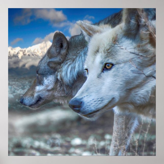 Grey Wolf SENTINEL WOLVES Poster (Front)