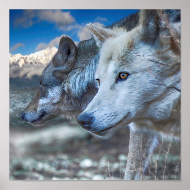 Grey Wolf SENTINELS Poster (Front)