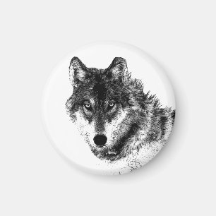 Grey Wolf Sketch Artwork Magnet