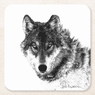 Grey Wolf Sketch Artwork Square Paper Coaster