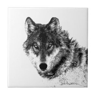 Grey Wolf Sketch Artwork Tile