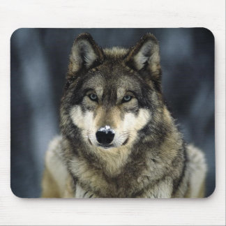 grey-wolf-snow mouse mat