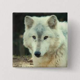 Grey Wolf Square Pin