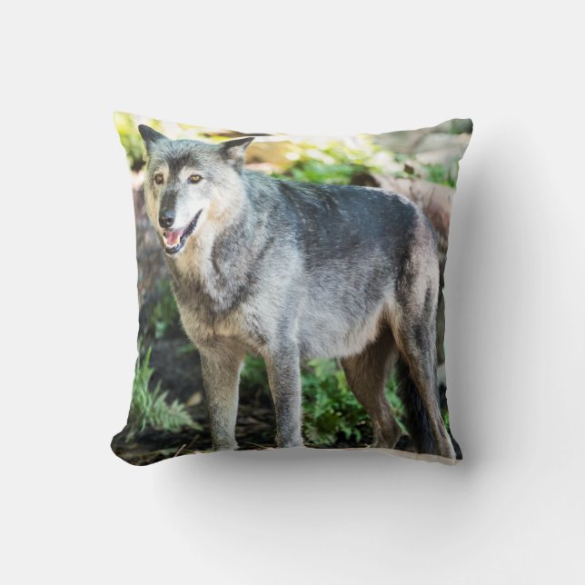 Grey Wolf Standing Alone Cushion (Front)