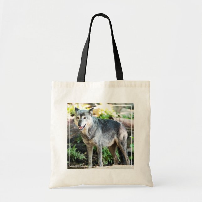 Grey Wolf Standing Alone Tote Bag (Front)