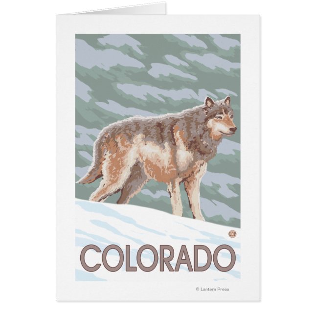 Grey Wolf StandingColorado (Front)