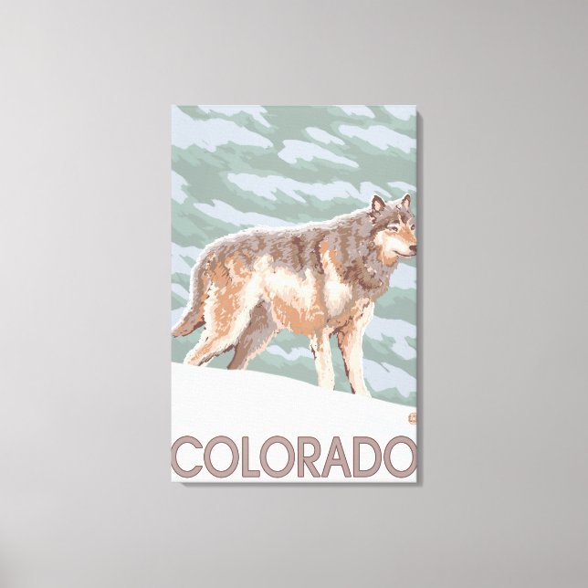 Grey Wolf StandingColorado Canvas Print (Front)