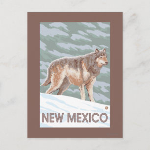 Grey Wolf StandingNew Mexico Postcard