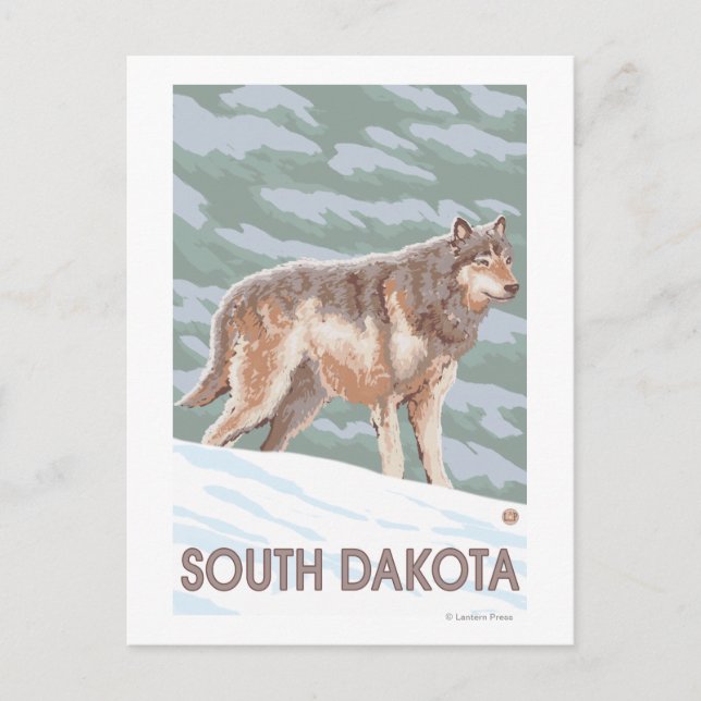 Grey Wolf StandingSouth Dakota Postcard (Front)