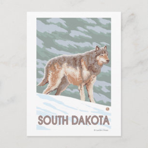 Grey Wolf StandingSouth Dakota Postcard