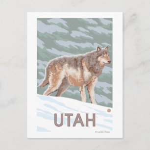 Grey Wolf StandingUtah Postcard