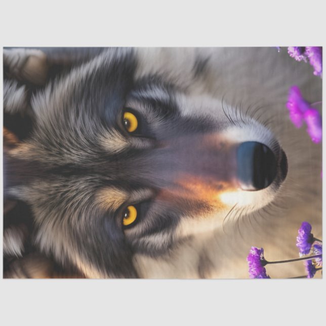Grey Wolf Stare and Purple flowers Tissue Paper (Front)