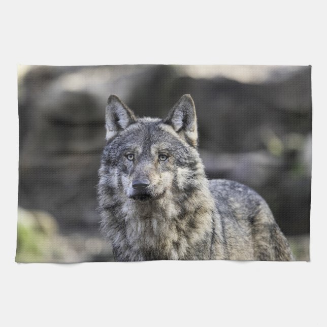 Grey Wolf Tea Towel (Horizontal)