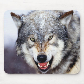 Grey Wolf Teeth Mouse Mat
