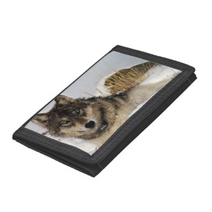 Grey Wolf - Timber Wolf - In the Snow Trifold Wallet