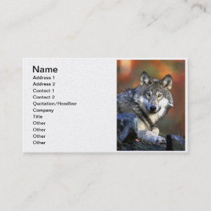 Grey Wolf - Timber Wolf - Red Wolf Series Business Card