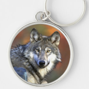 Grey Wolf - Timber Wolf - Red Wolf Series Key Ring