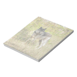 Grey Wolf & Wilderness Photo Gift Notepad