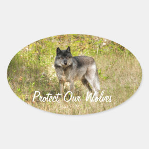 Grey Wolf & Wilderness Photo Gift Oval Sticker