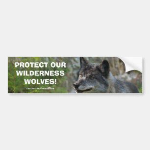 Grey Wolf Wildlife Conservation Bumper sticker