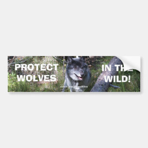 GREY WOLF Wildlife Conservation Bumper sticker