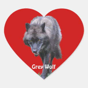 GREY WOLF Wildlife Heart Sticker Collection