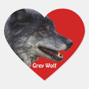 GREY WOLF Wildlife Heart Sticker Collection