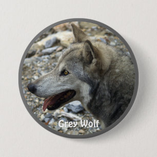 Grey Wolf Wildlife-lover Collector Badge