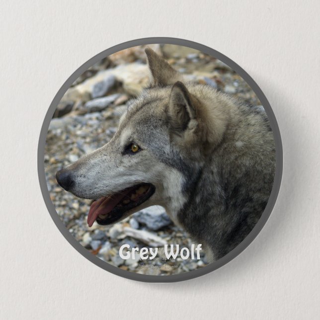 Grey Wolf Wildlife-lover Collector Badge (Front)