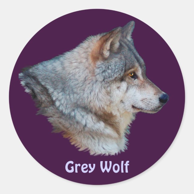 GREY WOLF Wildlife Sticker Collection (Front)