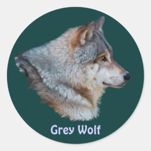 GREY WOLF Wildlife Sticker Collection