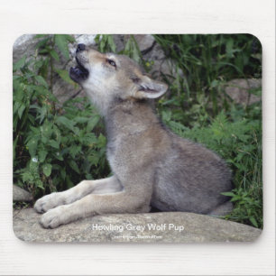 Grey Wolf Wildlife-supporter Animal Photography Mouse Mat