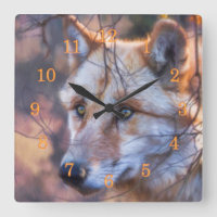 GREY WOLF WINDOW OF OPPORTUNITY